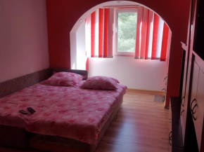 Apartament 1 camera